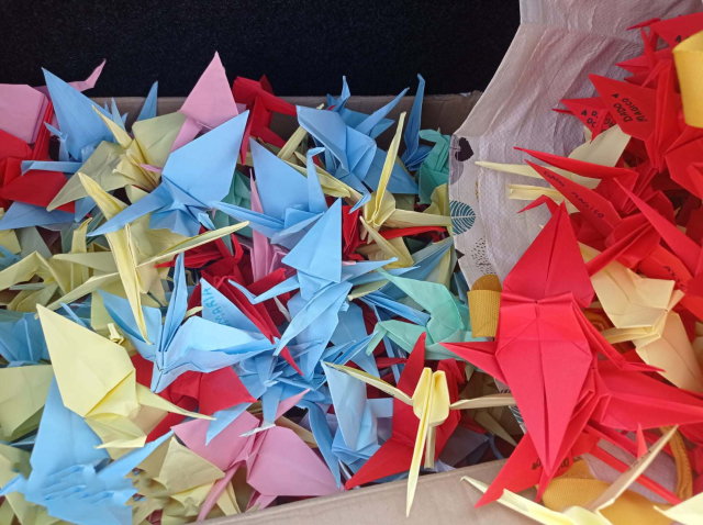 Oltre 800 gru di carta (uccello simbolo di pace) realizzati dai bambini e ragazzi di Vigonovo che hanno frequentato i centri estivi