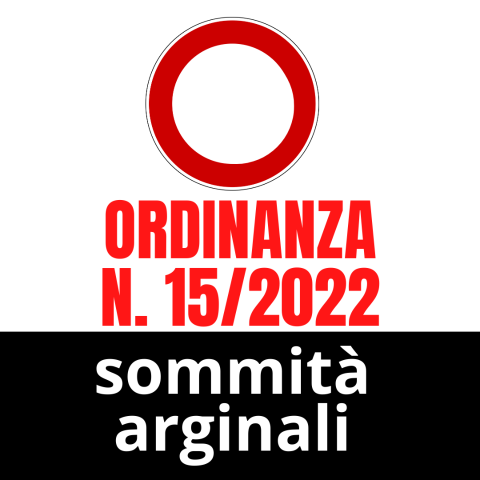 Ordinanza n. 15 del 13 aprile 2022