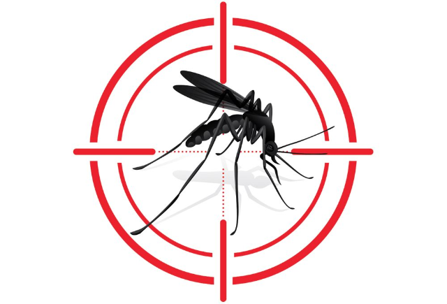 Prevenzione e controllo delle zanzare - Anno 2023