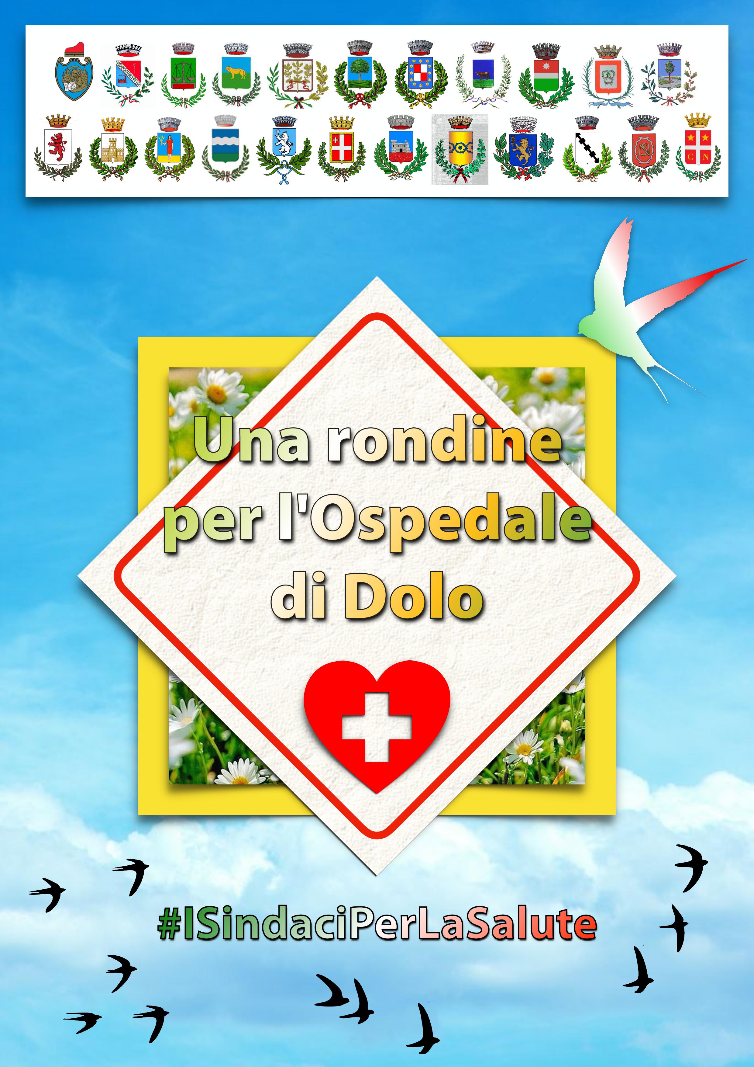 Una Rondine per l'Ospedale di Dolo
