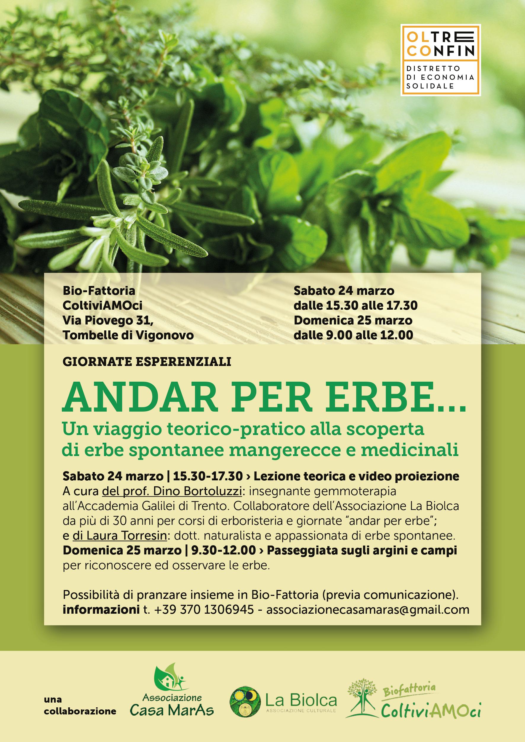 Andar per erbe